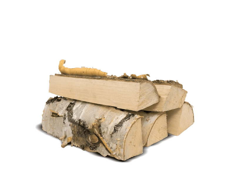 Heizfuxx Brennholz Birke 1 Rm 500kg