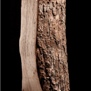 Halbpalette Kaminholz Esche kammergetrocknet – Holzscheite 25 cm – 1,02 m³ – hohe Heizleistung