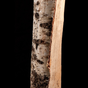 Eichen-Kaminholz in Säcken – Palette mit 84 Säcken – extra trocken